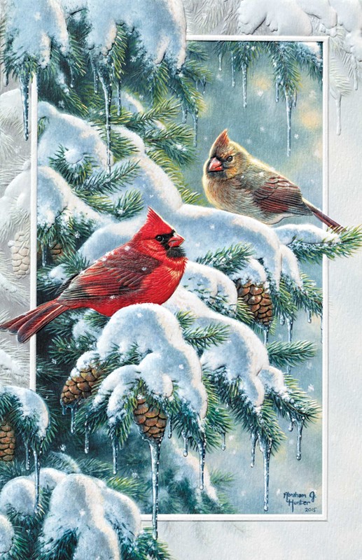 Leanin Tree HOLIDAY SONGBIRDS Christmas Card Box Set NEW Cardinal Blue Jay 