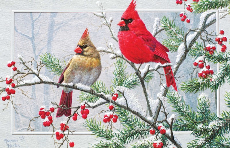 Season S Greetings Bird Themed Boxed Christmas Cards