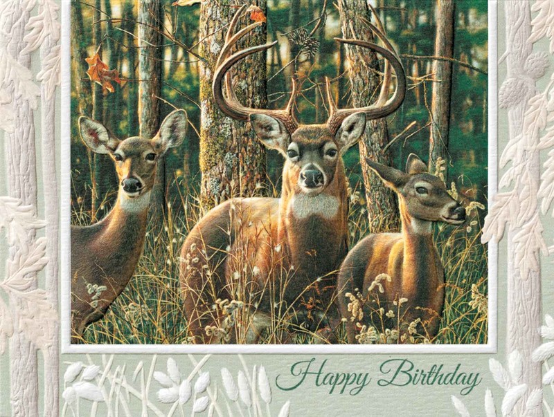 BIRTHDAY CARD & ENVELOPE BY FAITHFULLY YOURS, ELK IN FOREST - 1 PETER 1:2