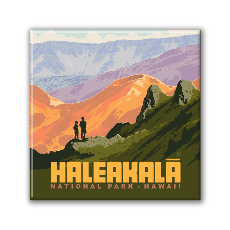 Haleakala NP Crater View Square Magnet | Metal Magnet