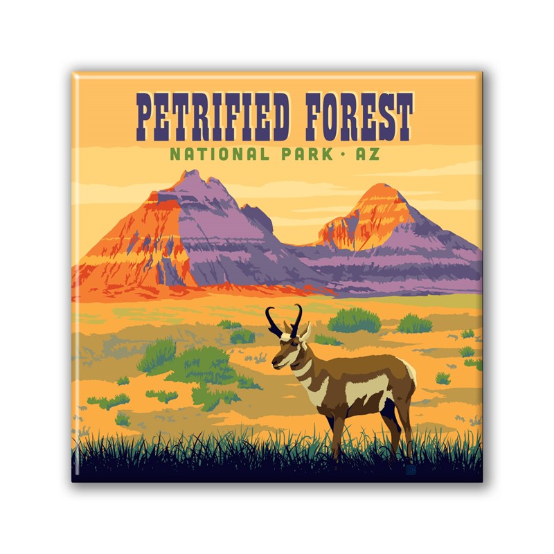 Petrified Forest NP Antelope Square Magnet| Metal Magnet