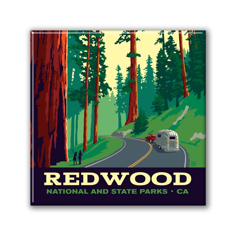 Redwood NP Scenic Drive Square Magnet | Metal Magnet