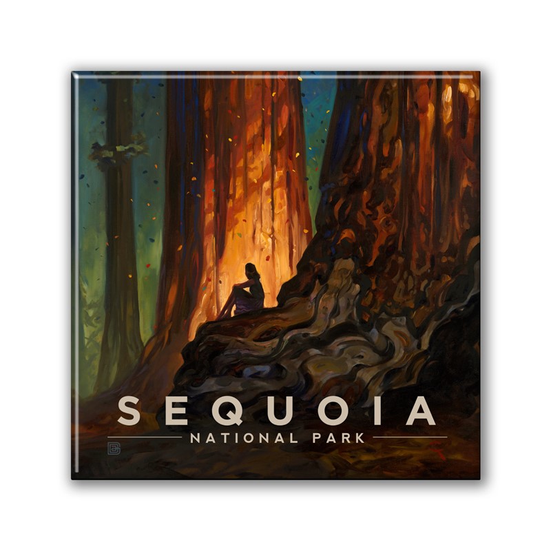 Sequoia NP Nature's Cathedral Square Magnett | Metal Magnet