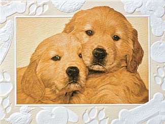 Good as Gold | Golden retriever embossed boxed note cards