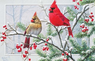 Season's Greetings | Bird themed boxed Christmas cards