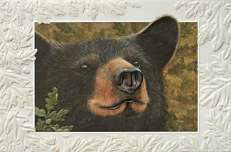 Somethin's Bruin | Bear embossed greeting cards