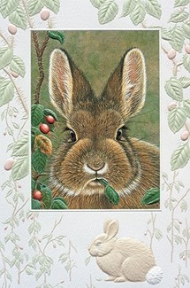 Bunny Brunch | Backyard critter birthday cards