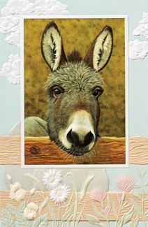 Que Pasa? | Embossed donkey greeting cards