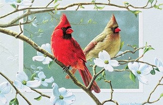 Cardinals in Dogwood | Birthday greeting cards