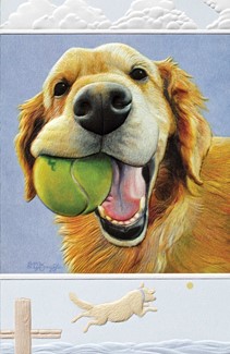 Molly | Dog themed birthday cards