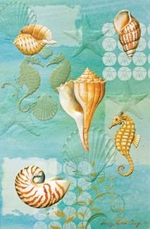 Shell Coast | Coastal greeting cards