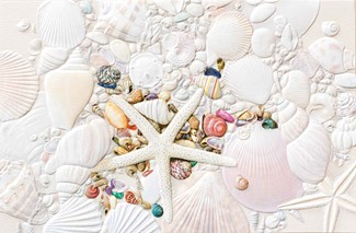 Ocean Treasure | Coastal greeting cards