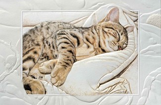 Bengal Baby | Cat embossed get well cards
