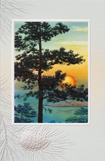 Sunset Through Pines | Birthday greeting cards