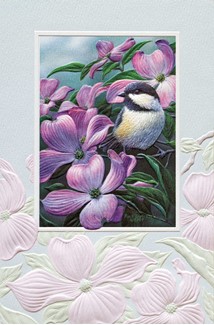 Chickadee On Dogwood (MD) | Mother's Day greeting cards