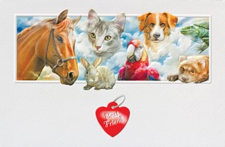 Our Best Friends | Boxed Pet Sympathy Cards