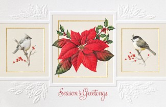 Christmas Trio | Bird themed boxed Christmas cards