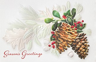Conifer Christmas | Scenic Christmas cards