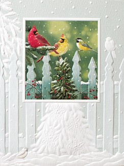 Flurry Frenzy | Photographic boxed Christmas cards