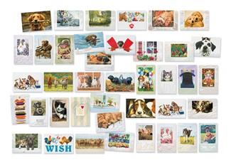 Deluxe Domestic Animals Card Assortment | Assortment Boxed Cards, Made in the USA