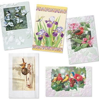 Sweet Songbirds 30 Card Birthday Assortment | Assortment Boxed Cards, Made in the USA