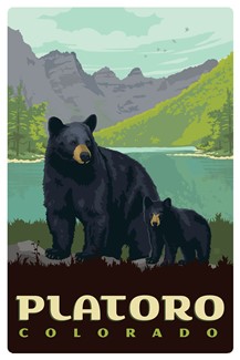 Platoro CO Black Bears Magnetic Postcard | Made in USA