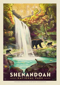 Shenandoah NP Waterfall Postcard | Postcard