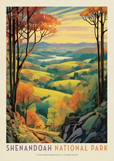 Shenandoah NP Rolling Hills Postcard | Postcard
