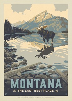 MT The Last Best Place Wading Moose Postcard | Postcard