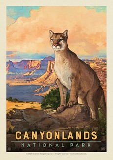 Canyonlands NP Cougar Postcard | Postcard