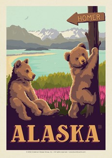 Homer AK Bears Postcard | Postcard