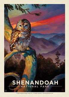 Shenandoah NP Barred Owl Postcard | Postcard