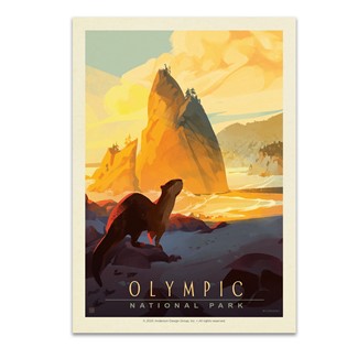 Olympic NP Sea Otter | Postcard