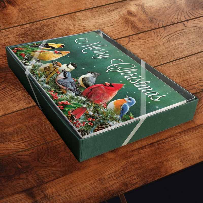 Merry Christmas Birds | Songbirds Christmas cards