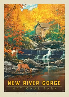 New River Gorge National Park & Preserve Fall Colors Postcard