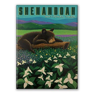Shenandoah NP Wildflower Cub Magnet