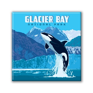 Glacier Bay NP Leaping Orca Square Magnet