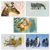 Exotic Wildlife 30 Card Occasion Assortment