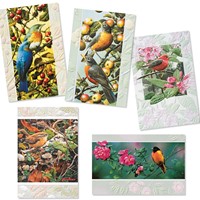 Wild Birds 30 Card Birthday Assortment