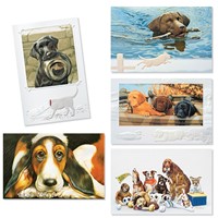 Canine Companions 30 Card Occasion Assortment