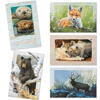 Wildlife of North America 30 Card Occasion Assortment