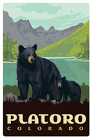 Platoro CO Black Bears Magnetic Postcard