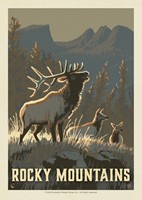 Rocky Mountains Wildlife Postcard