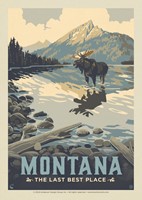 MT The Last Best Place Wading Moose Postcard