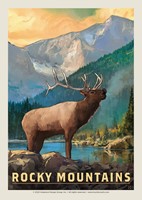 Rocky Mountains Elk Postcard