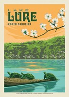 Lake Lure NC Turtles Postcard
