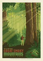 Great Smoky Mountains NP Old-Growth Forests Postcard