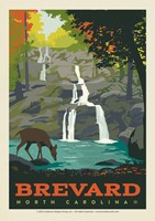 Brevard NC Waterfall Postcard