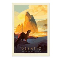 Olympic NP Sea Otter Postcard