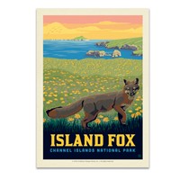 Channel Islands NP Island Fox Postcard